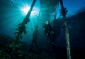   My 12year old daughter diving Raja Ampat 12-year 12 year  